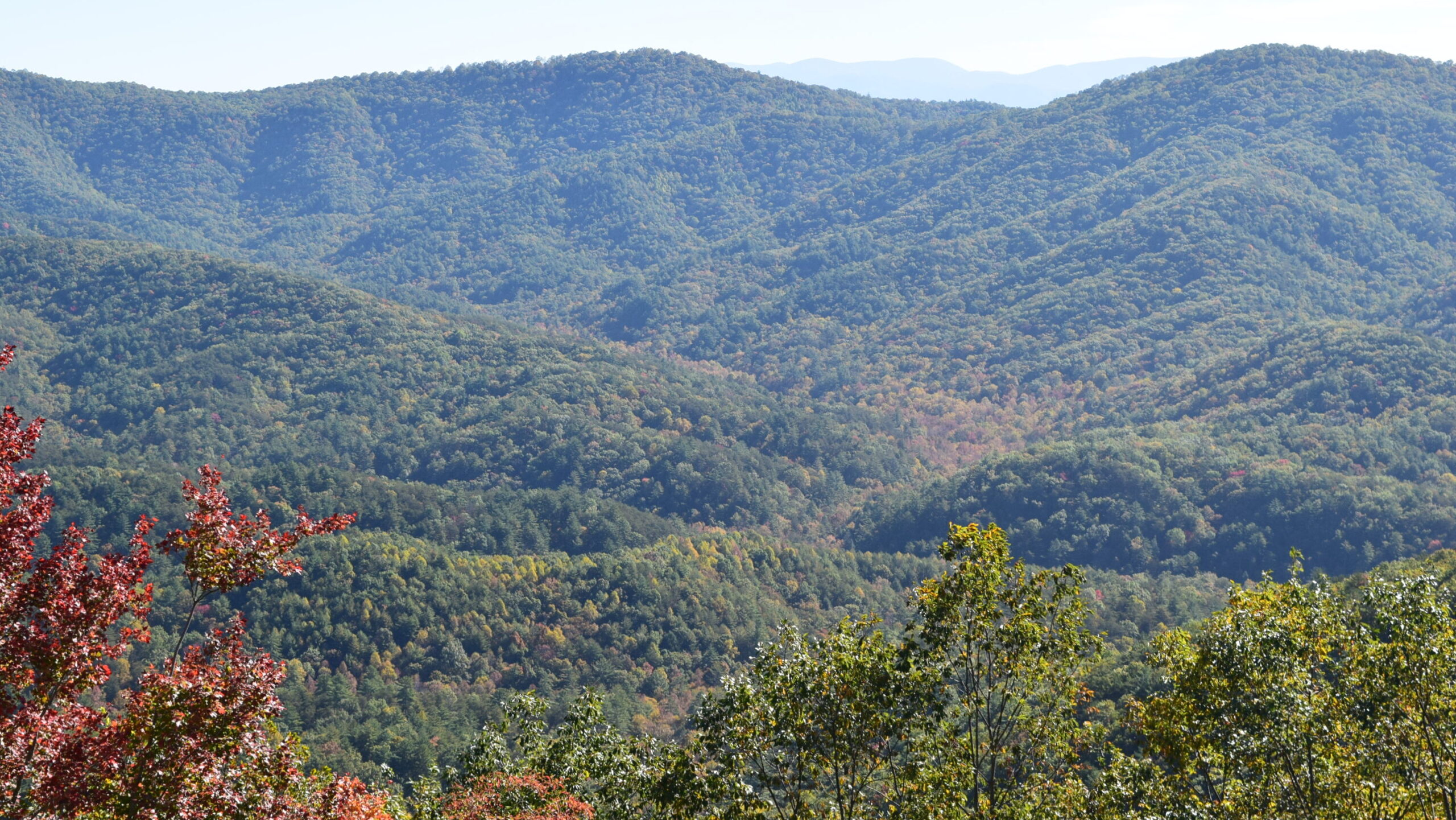 georgia motorcycle tour